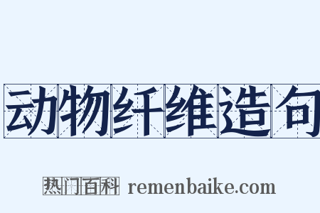 动物纤维造句是什么意思的图片